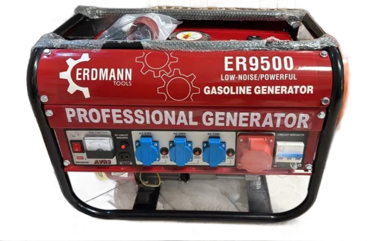 موتور برق بنزینی 3.5 کیلووات هندلی اردمن ER9500
